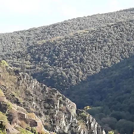 Schatzkammer Apartment *