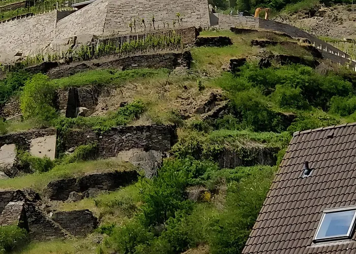 Schatzkammer アパート バート・ノイェンアール・アールヴァイラー